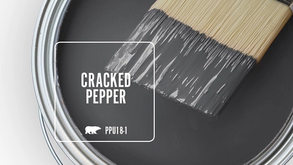 Cracked Pepper, Color of the Year 2024 by Behr.